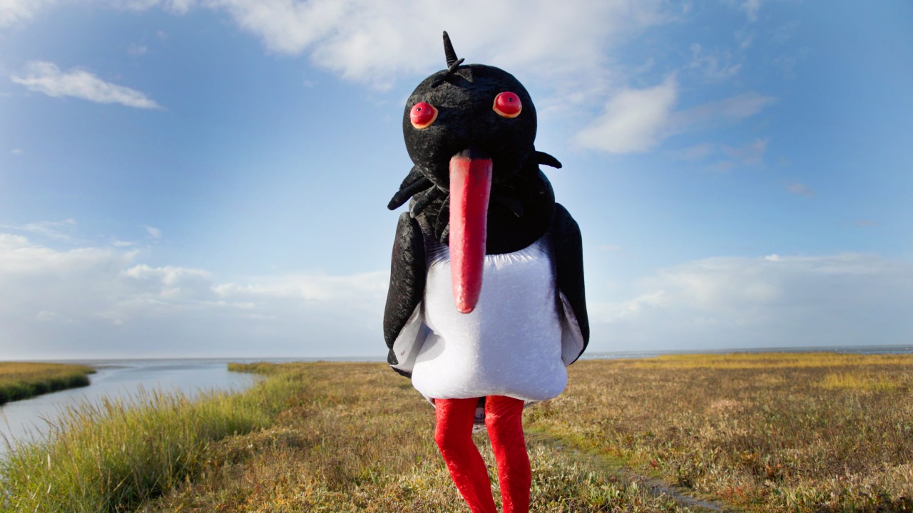 A person in an oystercatcher costume standing in a salt marsh.