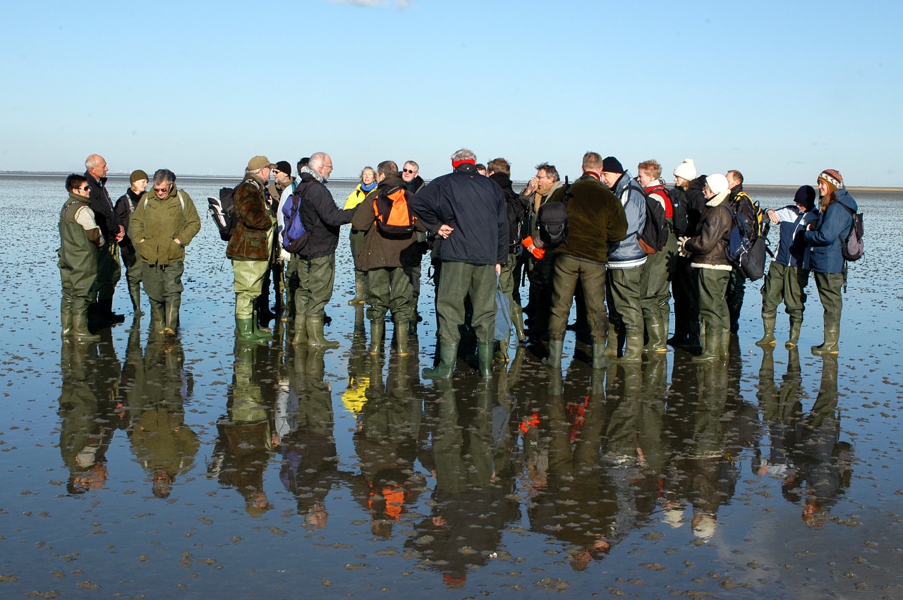 People in the Wadden Sea