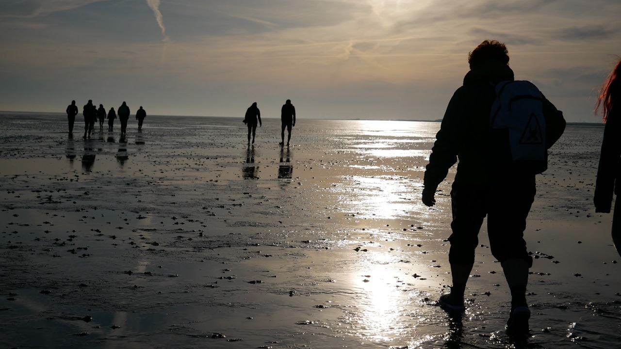 Group of young adults on a mudflat walk during rising sun. CWSS/Bostelmann.