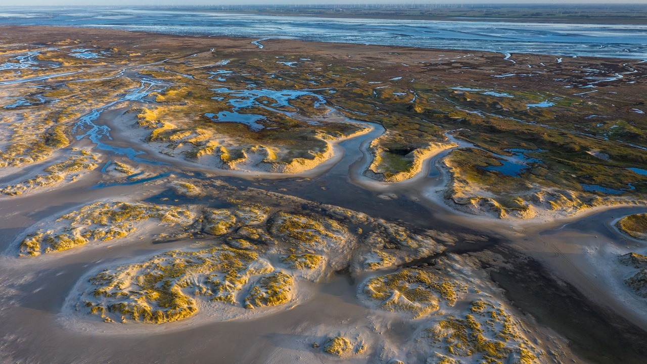 An aerial view of a salt marsh in low sunlight, shades of greens and browns swirling sand with water. Janis Meyer/Waddenagenda.