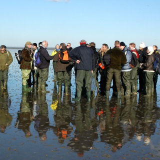 People in the Wadden Sea